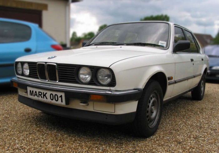 BMW 318i side view